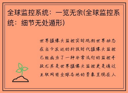 全球监控系统：一览无余(全球监控系统：细节无处遁形)
